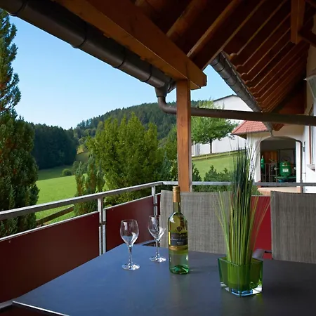 Deutscher Hof Гостевой дом Biederbach